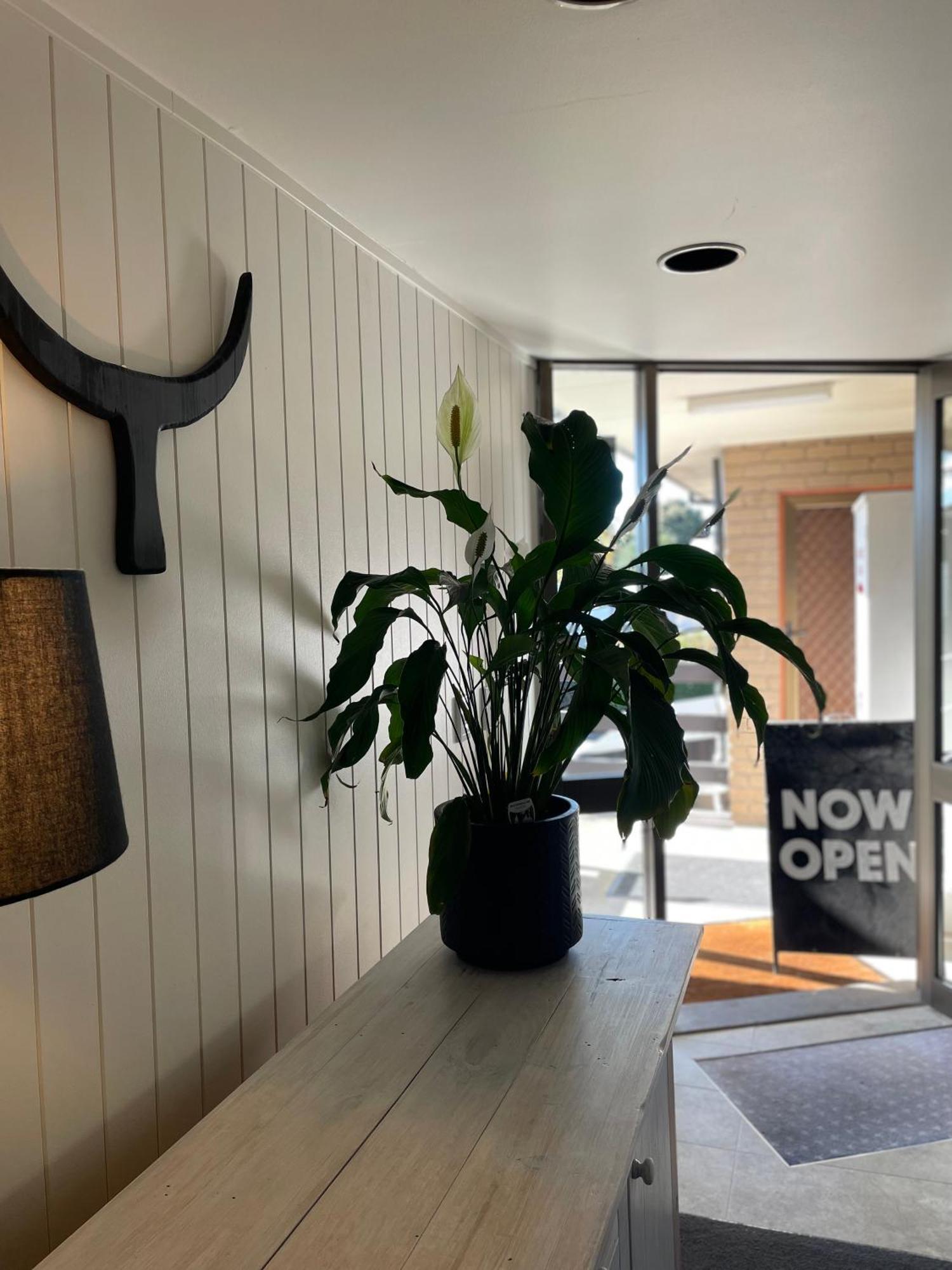 The Black Bull Motel Traralgon Bagian luar foto